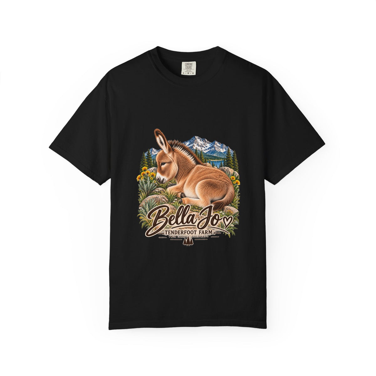 Bella Jo Donkey T-Shirt  Tenderfoot Farm Colorado
