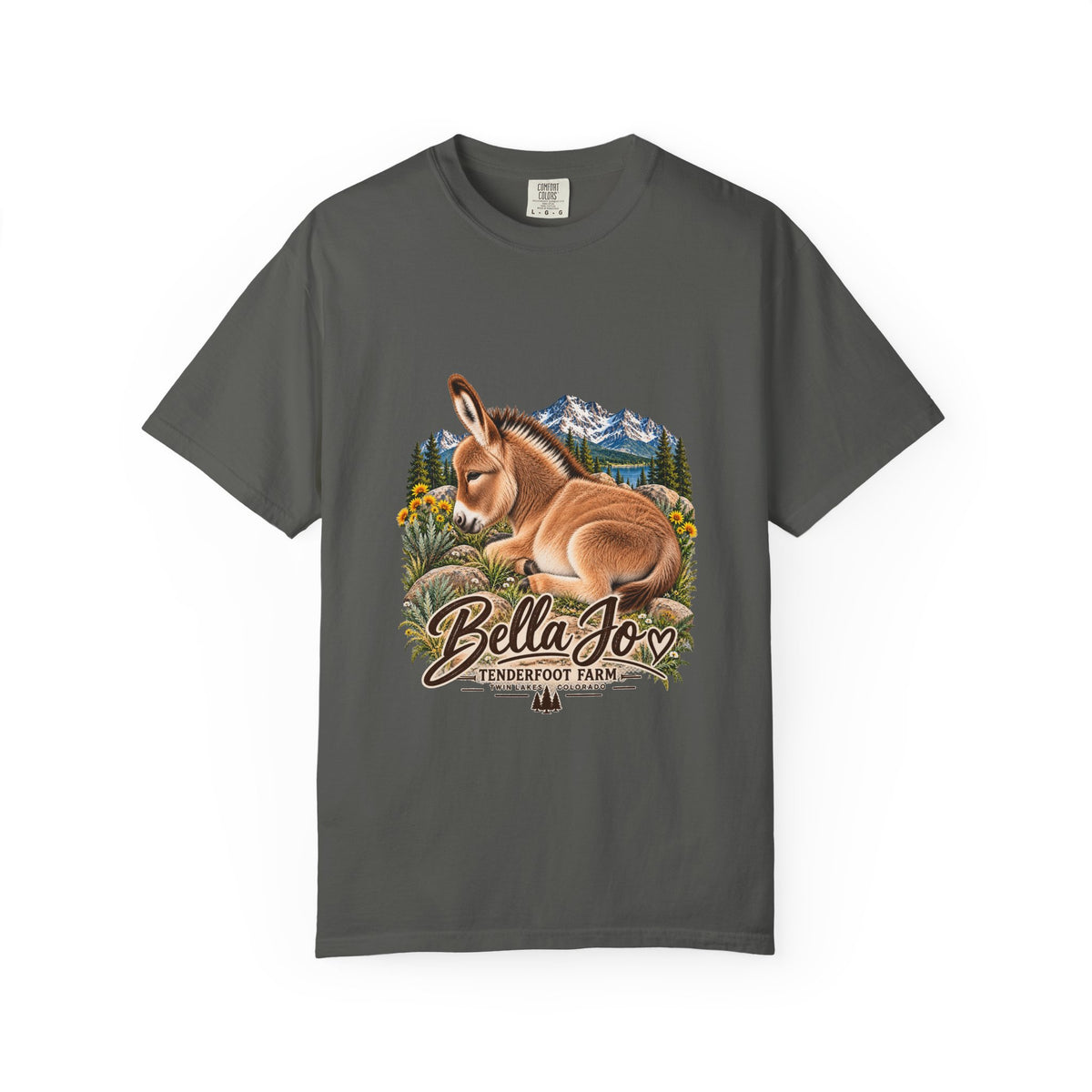 Bella Jo Donkey T-Shirt  Tenderfoot Farm Colorado